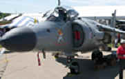 Cool Cat Harrier Jet