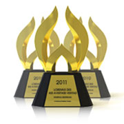 2011 Gold Award